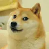 Mitchell Hill - @mitchell.hill3 - TikTok