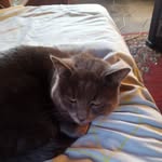 Mitchell Hodges - @mitchell.hodges.967 - Instagram