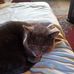 Mitchell Hodges - Facebook