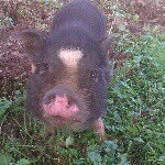 Mitchell Hodges - @mitchell_hodges_theboss - Instagram