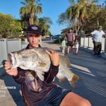 Mitchell Hoffman - @mitchellhoffman84 - Instagram