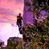 Mitchell Horner - @azxbym2 - TikTok