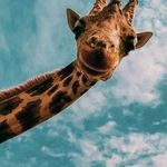 @huntley___mitchell_ - Instagram