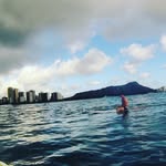Mitchell Johnstone - @mitchjohnstone17 - Instagram
