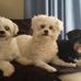 Mitchell Kaye - Facebook