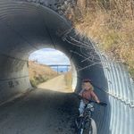 Mitchell Lake - @mitchlake - Instagram