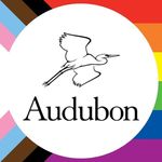 Mitchell Lake Audubon Center - @mitchelllakeauduboncenter - Instagram