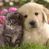 Mitchell_law - @mitchell_law - TikTok