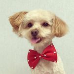 Mitchell Lawrence - @mitchelllawrence89 - Instagram