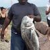 Leonard Mitchell - Facebook
