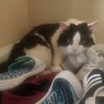 Mitchell Leonard - @mitchell.leonard.79 - Instagram