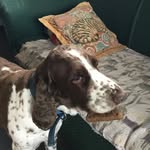 Mitchell Lindsay - @mitchdrumz_ - Instagram
