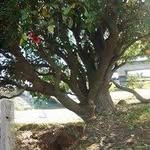 Mitchell Lindsay - @mitchell.lindsay.14 - Instagram