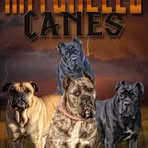Mitchell Locklear - Facebook