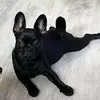 MOO!!! <3🎀 - @maceymaemitchell - TikTok
