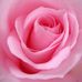 Michel Madan - Facebook