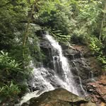 Shawn Mitchell Masters - @shawnmitchellmasters - Instagram