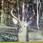 Mitchell L. Mauldun lll - @mitchell_l_mauldin - Instagram