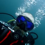 Mitchell McElroy - @mitchell_the_great_iii - Instagram