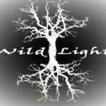 Mitchell Mclean - @wildceltlight - Instagram