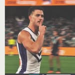 Shane Mitchell McLean - @shanemitchell139 - Instagram