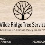 Mitchell Mead - @wilderidgetreeservice - Instagram