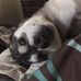 Mitchell Meadows - Facebook