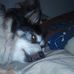 Mitchell Millard - Facebook