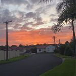 Mitchell Millard - @mitchellmillard8 - Instagram