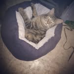 Mitchell Montgomery - @the00monkey - Instagram