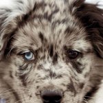 Mitchell Morehead - @mnmisthename - Instagram