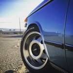 Mitchell Morton - @mtmorto - Instagram