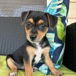 @ Moses_Mitchell123 - @moses__mitchell - Instagram