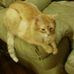Mitchell Mosher - Facebook