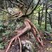 Mitchell Mountain - Facebook