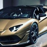 mitchell nolan - @mitchellnolan2002apollo - Instagram