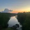 Nolan - @nolan.mitchell_ - TikTok