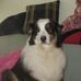Mitch Novak - Facebook