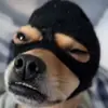 mitchellokeefe813 - @mitchellokeefe813 - TikTok