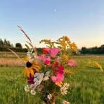 Mitchell Parks - Facebook