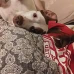 Mitchell Parks - Facebook