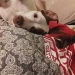 Mitchell Parks - @mitchellparks54 - Instagram
