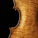 Mitchell Patrick McCarthy - @mccarthyviolins - Instagram
