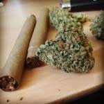 Sacramento Pat - @mitchell.patrick24 - Instagram