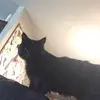 MitchellMP13 - @mitchellpaull - TikTok