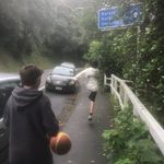 Mitchell Peacock - @mitchell_peacock - Instagram