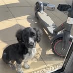 Mitchell Pearson - Facebook