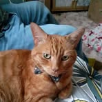 Mitchell Pearson - Facebook