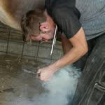 Mitchell Pfaff - @mvp_farrier_services - Instagram