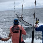 mitchell greenwood pierson - @mitchellgreenwoodpierson - Instagram